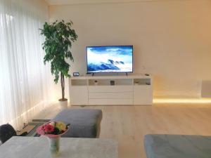 TV a/nebo společenská místnost v ubytování Appartment 024 in Tossens