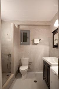 een badkamer met een toilet en een wastafel bij Lovebirds Nest in Melissaki