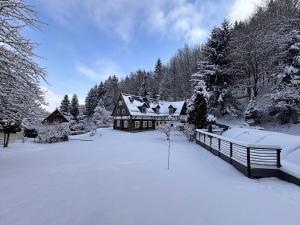 Forest View Cottage v zime