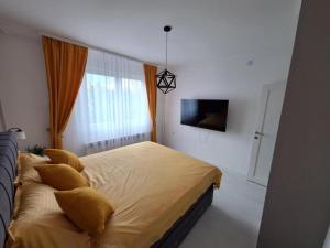 a bedroom with a bed and a window and a television at Apartman Nikola Vukosavljevic in Kruševac +10 photos