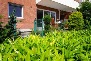 Zahrada ubytování Schützenstr 19 Whg 5