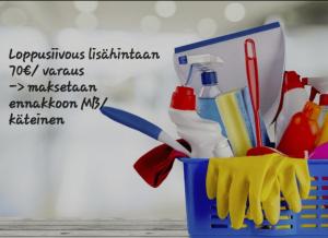 a blue container filled with cleaning utensils at Mörkölä in Vuokatti