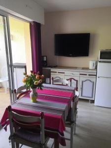 Μια τηλεόραση ή/και κέντρο ψυχαγωγίας στο Studio jardin RDC 900 m des Thermes!