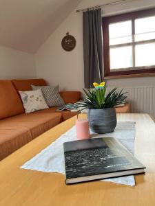 Posezení v ubytování Ferienwohnung Seiringer