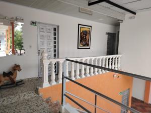 Foto sihtkohas Purificación asuva majutusasutuse Hotel Palmari galeriist