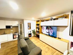 a living room with a couch and a flat screen tv at ROSALES Apartamento y jardín in Oviedo