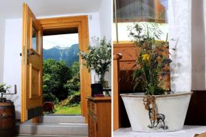 roślina w garnku przed drzwiami w obiekcie Ferienchalet Kreuzlauhof MAY-101 w Mayrhofen +10 zdjęć