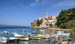 a bunch of boats are docked in the water at Apartmani Šperanda Pisak in Pisak