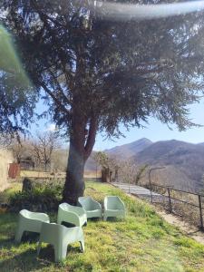 a group of white chairs sitting under a tree at Casa Louisa in Serralongue +2 photos