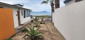 a house with a courtyard with a palm tree at CASA LUCIA - BEACHFRONT HOUSE in Ensenada