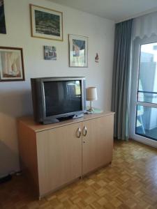 A television and/or entertainment centre at Simonhöhe Appartment with Swimmingpool