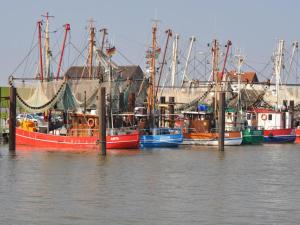 a group of boats docked in a harbor at Appartment 530 in Tossens in Tossenserdeich +8 photos