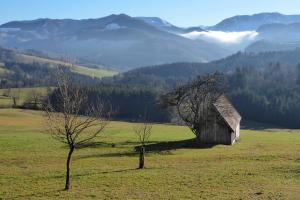 Fotografie z fotogalerie ubytování Ferienwohnung Ybbsperle v destinaci Waidhofen an der Ybbs