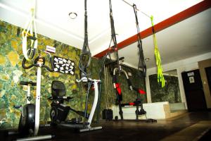 Fitness centrum a/nebo fitness zařízení v ubytování Hotel la Giralda