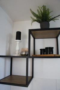 a shelf with a plant and a lamp on it at Hausboot Wangermeer Nordsonne12 mit Sauna in Wangerland