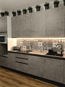 a kitchen with stainless steel cabinets and potted plants at Ancient Rome Colosseum modern and bright apartment in Rome