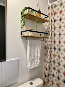 a bathroom with a towel rack above the toilet at Caldera Apartment in Caldera