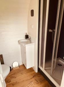 Un pequeño baño con inodoro y ducha. en Tirolian Lodge East, en Bundorf 3 fotos más