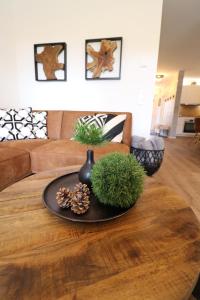 a living room with a table with pine cones on it at Design-Ferienhaus "auf der Schanz" mit privater Sauna - Todtnau-Muggenbrunn, Feldberg im Schwarzwald in Muggenbrunn +17 photos