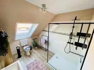 a bathroom with a shower and a toilet at Fewo Elke in Barsinghausen