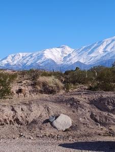 una roccia in mezzo a un campo con montagne innevate di Altos Coirones Cabañas a Potrerillos Altre 26 foto