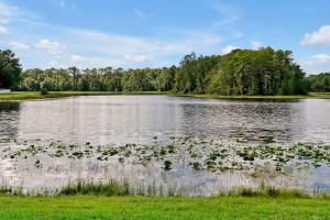 a lake with a bunch of ducks in the water at 11326 CYPRESS TRAIL DRIVE ORLANDO 3BED in Orlando