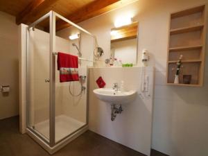 a bathroom with a shower and a sink at Ferienwohnung 6 in Ochsenhausen