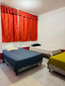 Foto sihtkohas Flores asuva majutusasutuse Gually Hostel galeriist