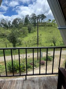 Rio CelesteにあるBungalow Tenorio Mountain Lodgeの野原の景色を望むバルコニー