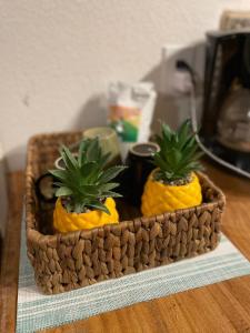 two pineapple plants in a basket on a table at The Blue Bahia Resort In Sandy Bay in Coxen Hole