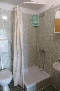 a bathroom with a shower and a toilet and a sink at Apartments with parking space Zivogosce - Blato, Makarska - 23922 in Živogošće