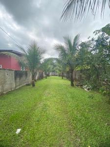 Vườn quanh Chácara Gomes - Caiubura - Bertioga +82 ảnh