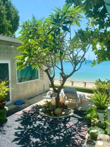 un arbre en face d'une maison avec vue sur la plage dans l'établissement Khao Khad Beach Bungalow, à Ko Thanan