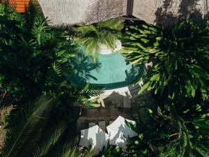 an overhead view of a pool in a garden with palm trees at Conga Boutique Hotel in Puerto Viejo