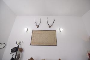 Fotografie z fotogalerie ubytování Chaminrich villa v destinaci Kandy