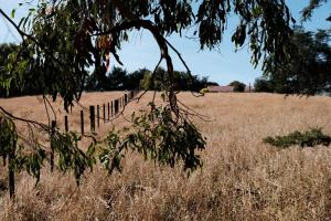 Gallery image of A cabin with a big view, comfort and tranquility, close to vines in Martinborough  +19 photos