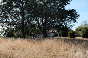 Gallery image of A cabin with a big view, comfort and tranquility, close to vines in Martinborough 