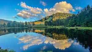 a reflection of a house in a lake with trees at Jolie T2, 55 m, centre ville soultz in Soultz-Haut-Rhin