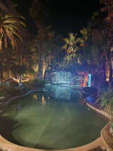 a swimming pool with a fountain at night at zhus garden in Kilsyth