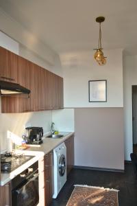Kuchyň nebo kuchyňský kout v ubytování Socoleni City Flat