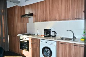 Kuchyň nebo kuchyňský kout v ubytování Socoleni City Flat + 10 fotografií