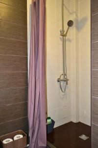 Koupelna v ubytování Socoleni City Flat