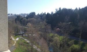 an overhead view of a forest with a bridge and a road at Hotel O´xardin in Carballino