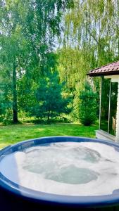 a large pool of water in a yard at Leśne Domki Premium in Prokowo