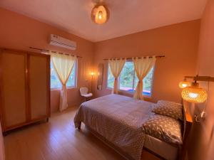 圣胡安EcoSiquijor Haven的带一张床和两扇窗户的卧室