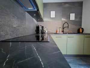 Kuchyň nebo kuchyňský kout v ubytování GP Luxury Apartment