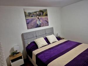 a bedroom with a purple bed with a painting on the wall at Didovina House in Vodenjak