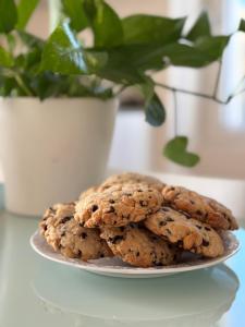 due biscotti su un piatto accanto a una pianta in vaso di BiancoGelso b&b Vegan a Gardone Riviera