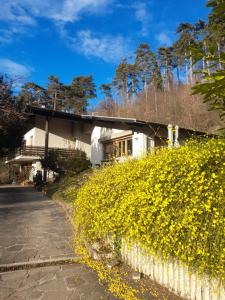 A garden outside Marzola