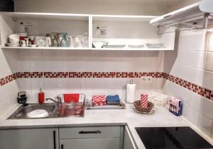 eine Küche mit Spüle und Arbeitsplatte in der Unterkunft appartement T2 CHALOSSE in Bahus-Soubiran